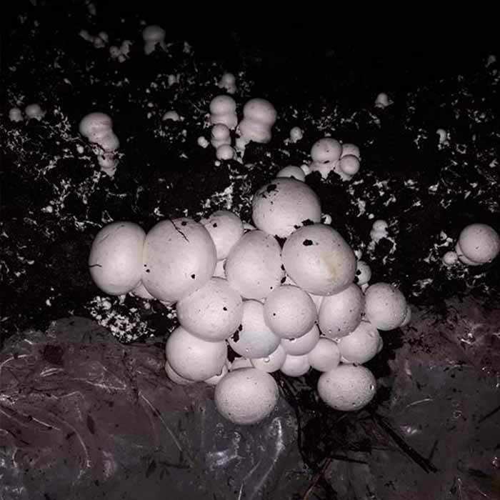 gebze klima servisi,gebze klima servisleri,gebze klima bakım servisi,gebze klima montaj servisi,klima servisi gebze,gebze klima,gebze yetkili klima servisi,gebze vestel klima servisi,gebze arçelik klima servisi,gebze soğutma [gebze soğutma] klima, klima montaj,klima demontaj,klima arıza,klima bakım,klima sökme takma,izmit soğutma,tuzla soğutma,içmeler soğutma,esenyalı soğutma,güzelyalı soğutma,pendik soğutma,kurtköy soğutma,tepeören soğutma,aydınlı soğutma,orhanlı soğutma,kartal soğutma,darıca soğutma,bayramoğlu soğutma,şekerpınar soğutma,sakarya soğutma,ofis klima,klima satış,soğuk hava depoları,klima servis,soğutma servisi,adapazarı soğutma,düzce soğutma, vrf,vrf,samsung,airfel,fujitsu,lg, mitsubishi,arçelik,carrier, lennox, mcquay,daikin ticari tip soğutma